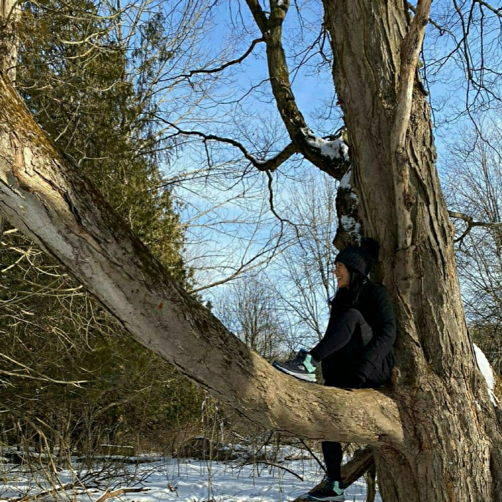 Meet your Posher, Fidelia